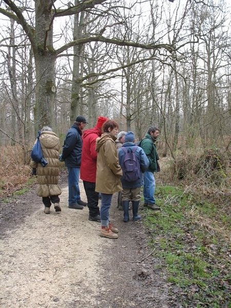 Reconnaissance des arbres 016